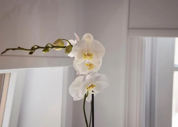 Casa Regina Luxury House Вилла *